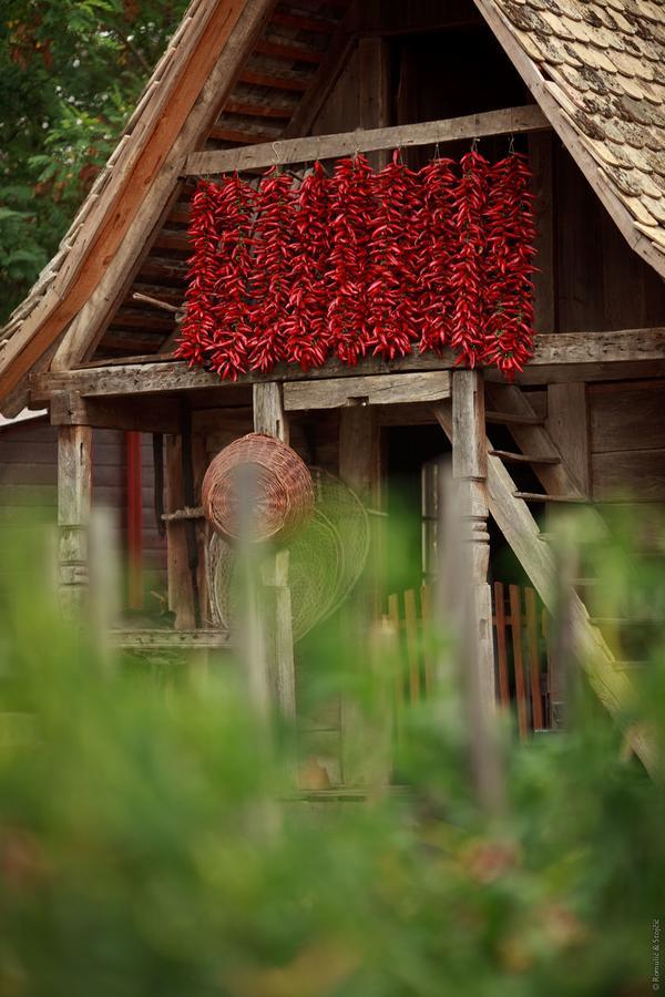 Sobe Kod Baje - Baranjska Kuca Bed and Breakfast Karanac Exteriör bild